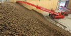 Dit traject doorloopt de aardappel in de inschuurlijn